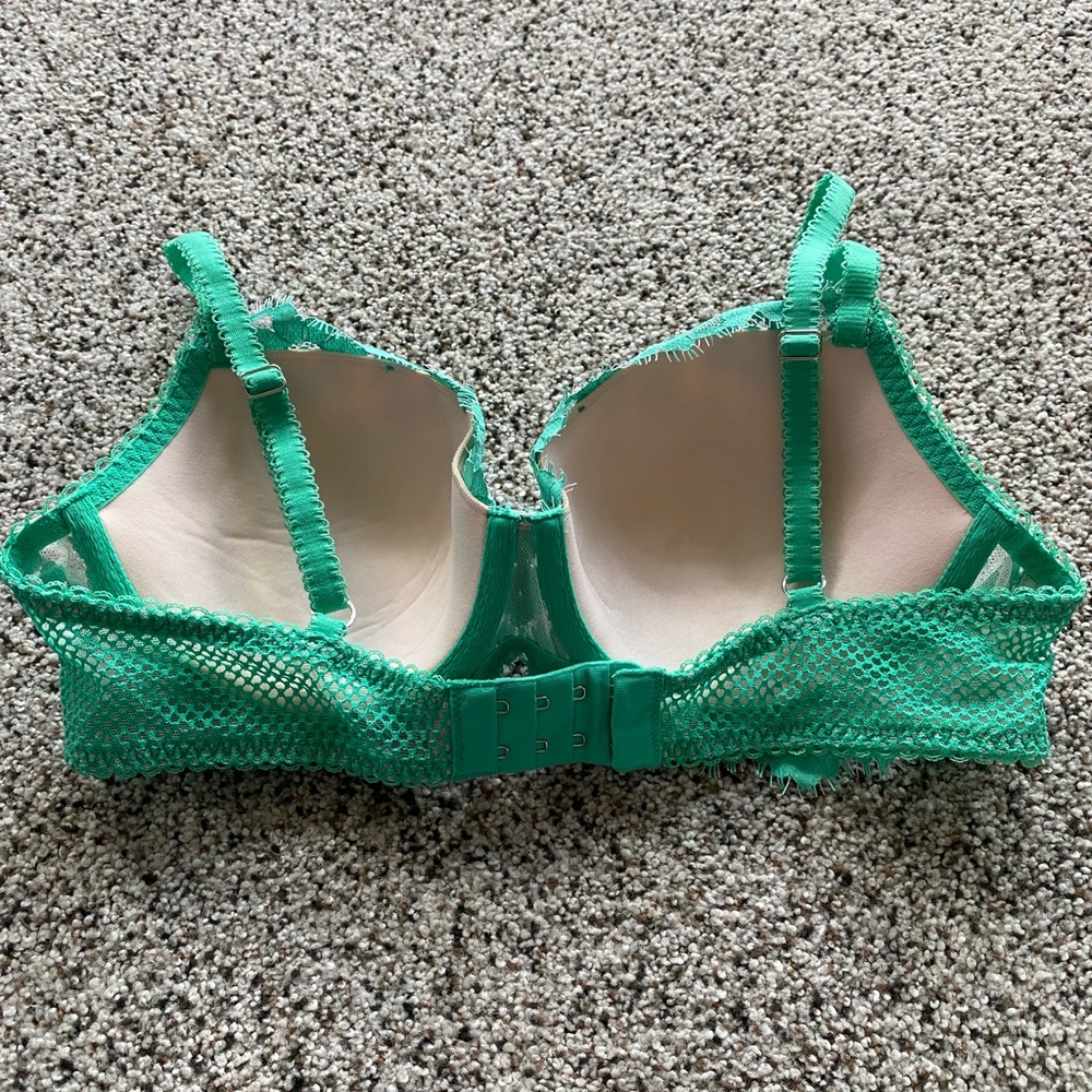 Green Lace Embroidered Bra & Bikini Set - Women Intimates - Picture 6 of 7